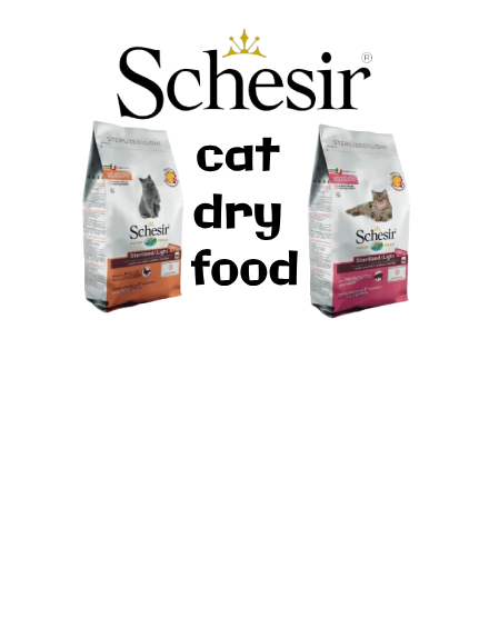 banner-1 text-center