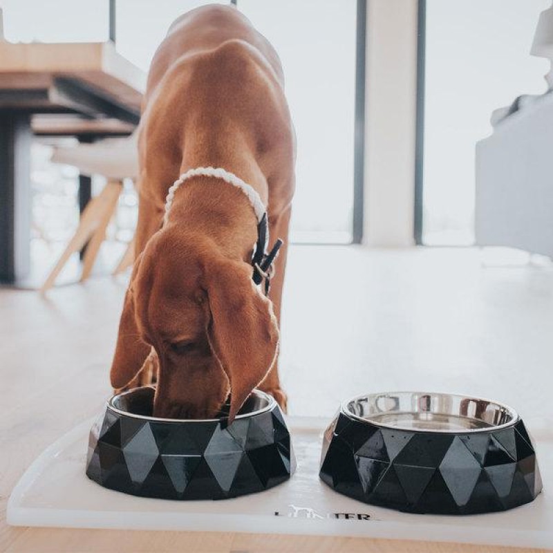 Hunter Melamine feeding bowl Kimberley