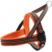 Hunter Norwegian harness Meldal 