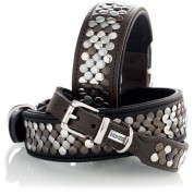 Hunter Collar Arizona 37
