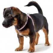 Hunter Harness Modern Art Round & Soft Petit Luxus 99645