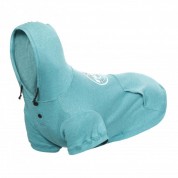 RukkaPets HOODY COLLEGE EMERALD