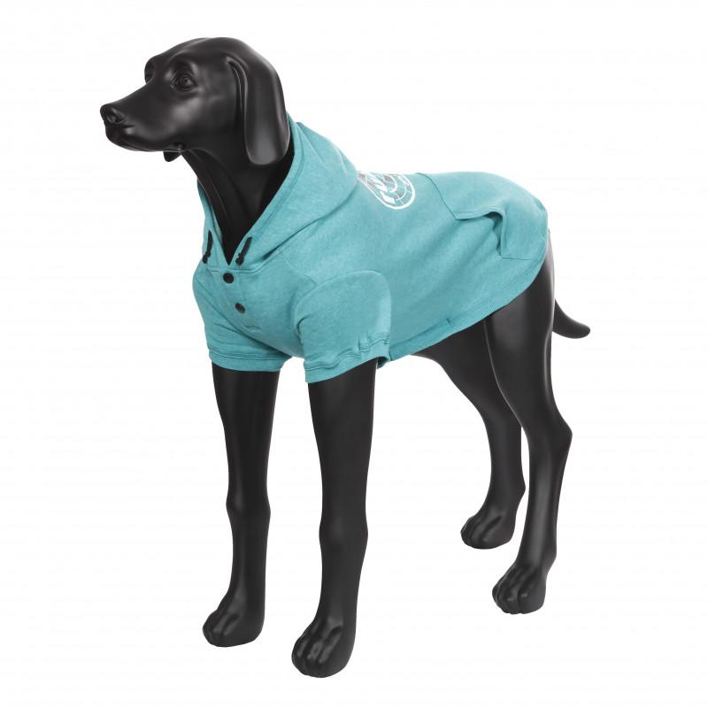 RukkaPets HOODY COLLEGE EMERALD