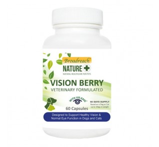 Broadreach Nature Vision Berry για μάτια και όραση 60caps Broadreach Nature Vision Berry για μάτια και όραση 60caps