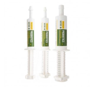 Broadreach Advanced Probiotics for Dogs Cats Puppies and Kittens 30ml calibrated syringe Broadreach Advanced Probiotics for Dogs Cats Puppies and Kittens 30ml calibrated syringe