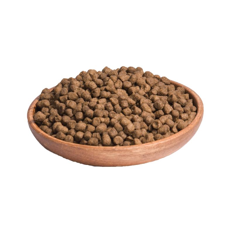 CORE Sterilized Σολομός 300gr