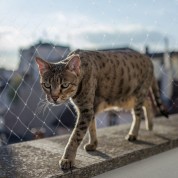 Duvo+ Balcony safety net