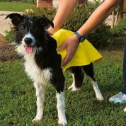 Ferplast Super absorbent towel for dogs GRO 5958