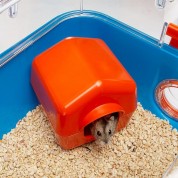 Ferplast COMBI 2 Hamster cage with gym / Πλαστικό κλουβί για χάμστερ με γυμναστήριο