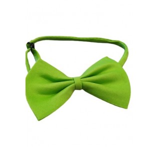 Παπιγιόν πράσινη