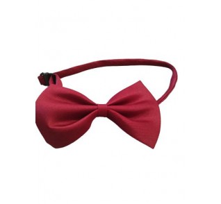 Παπιγιόν μπορντό