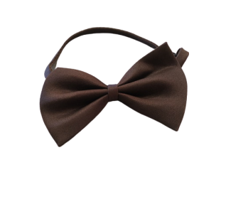 Παπιγιόν καφέ