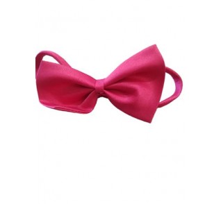 Παπιγιόν φούξ