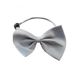 Παπιγιόν γαλάζιο