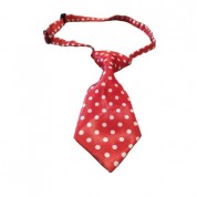 Γραβάτα Σκύλου 01