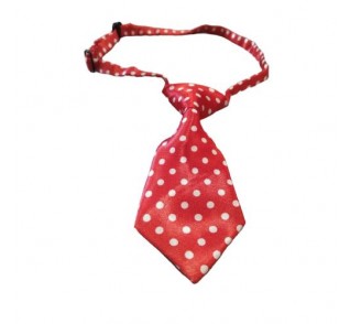 Γραβάτα Σκύλου 01