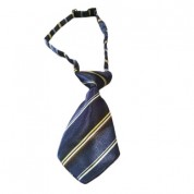 Γραβάτα Σκύλου 10