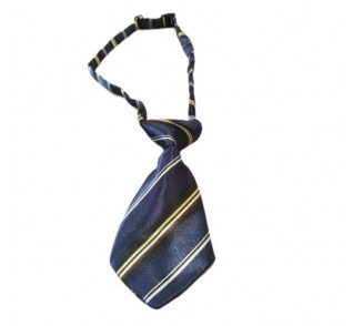 Γραβάτα Σκύλου 10