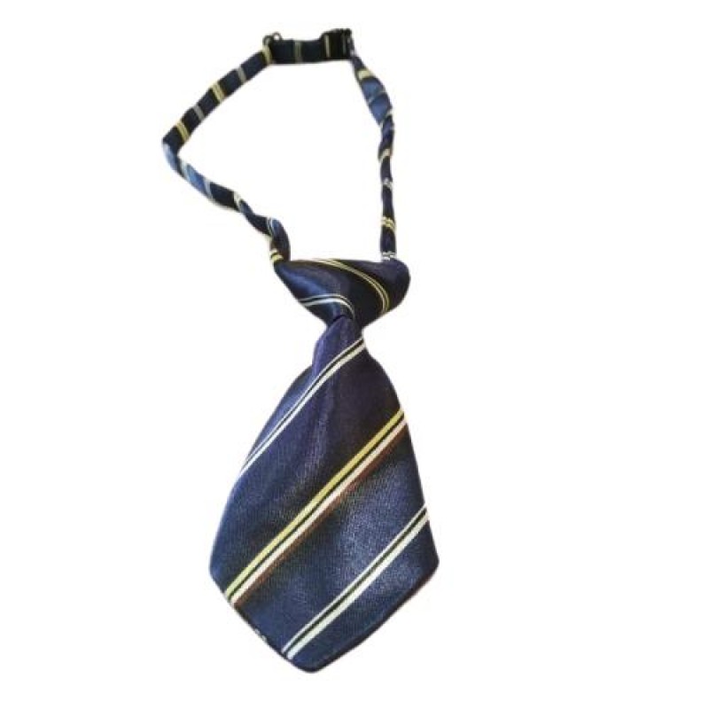 Γραβάτα Σκύλου 10