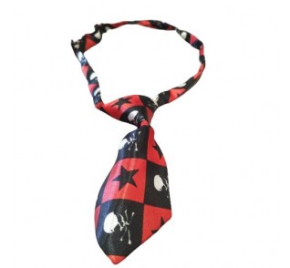 Γραβάτα Σκύλου 11