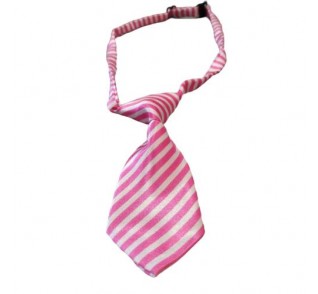 Γραβάτα Σκύλου 02