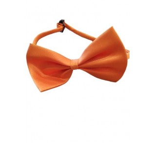 Παπιγιόν πορτοκαλί