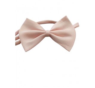 Παπιγιόν ρόζ