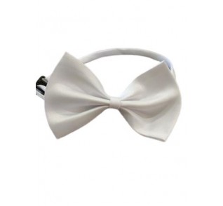 Παπιγιόν λευκό