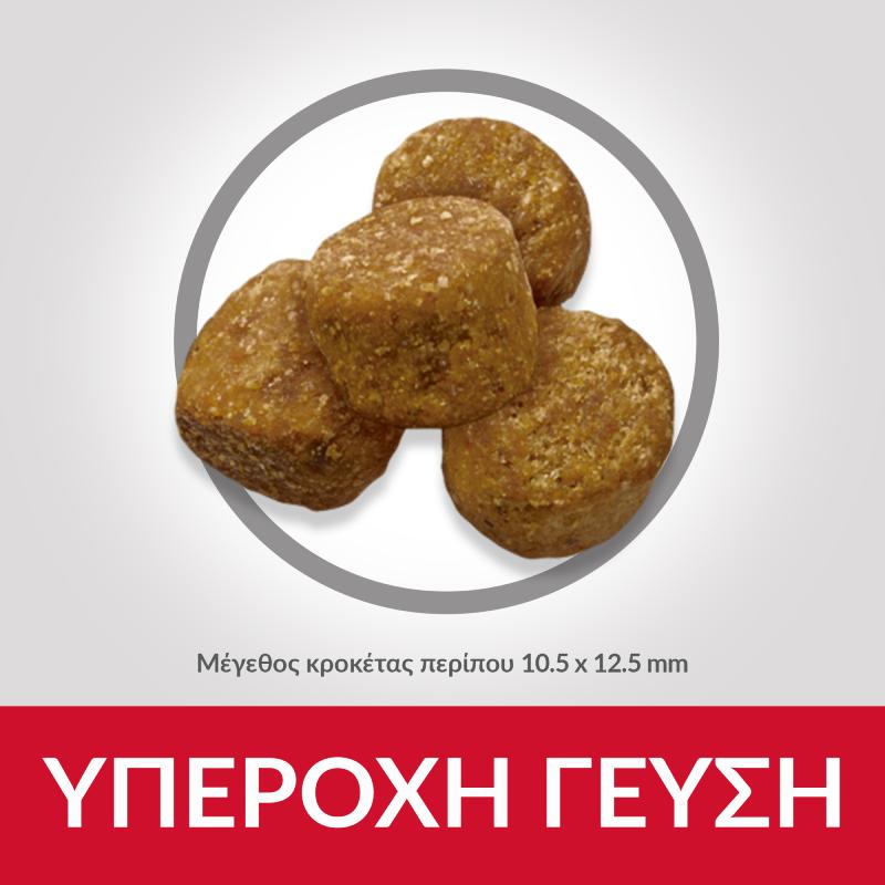 Hill's Adult Dog Light Medium Chicken 2.5kg 