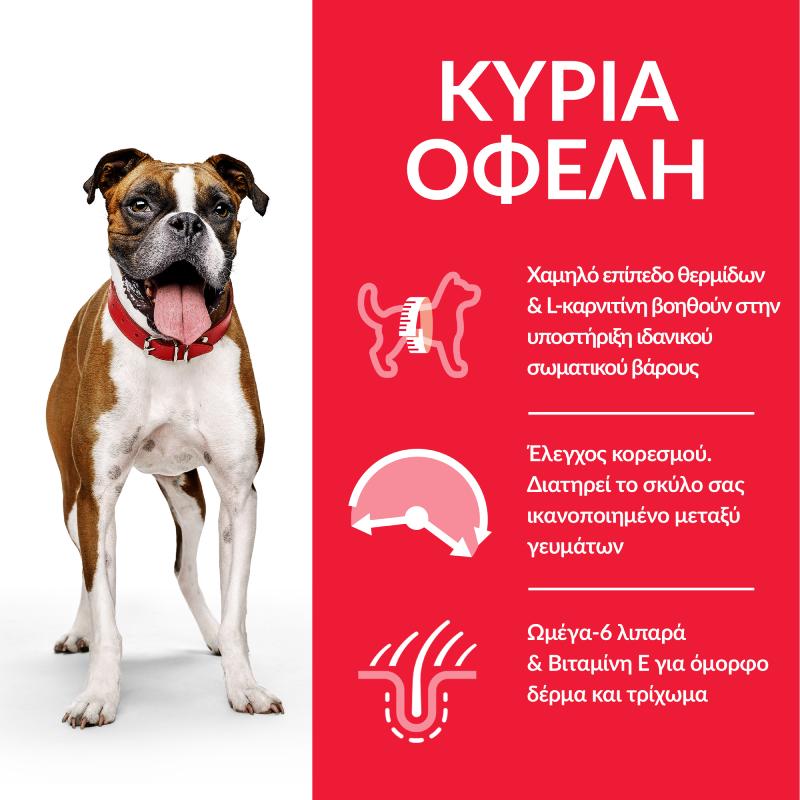 Hill's Adult Dog Light Medium Chicken 2.5kg 