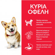 Hill's Adult Dog Small&Mini Lamb&Rice 1.5kg 