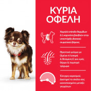 Hill's Adult Dog Small&Mini Chicken 3kg 