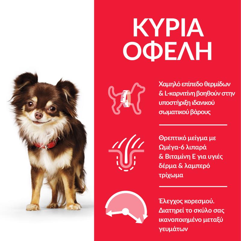 Hill's Adult Dog Small&Mini Chicken 3kg 