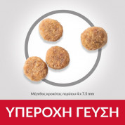 Hill's Mature Adult Dog Small&Mini Chicken 300g