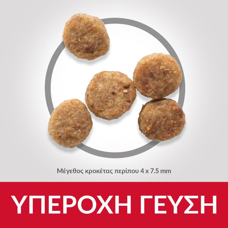 Hill's Senior Dog 11+ Small&Mini Chicken 1.5kg 