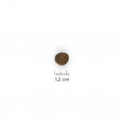 Hill's Prescription Diet Canine z/d 3kg 