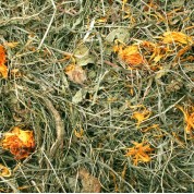 JR FARM Dandelion Meadow 500gr.