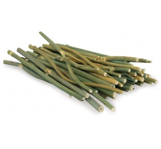 JR FARM Dill Sticks/κλωνάρια άνηθου 15gr.  JR FARM Dill Sticks/κλωνάρια άνηθου 15gr.