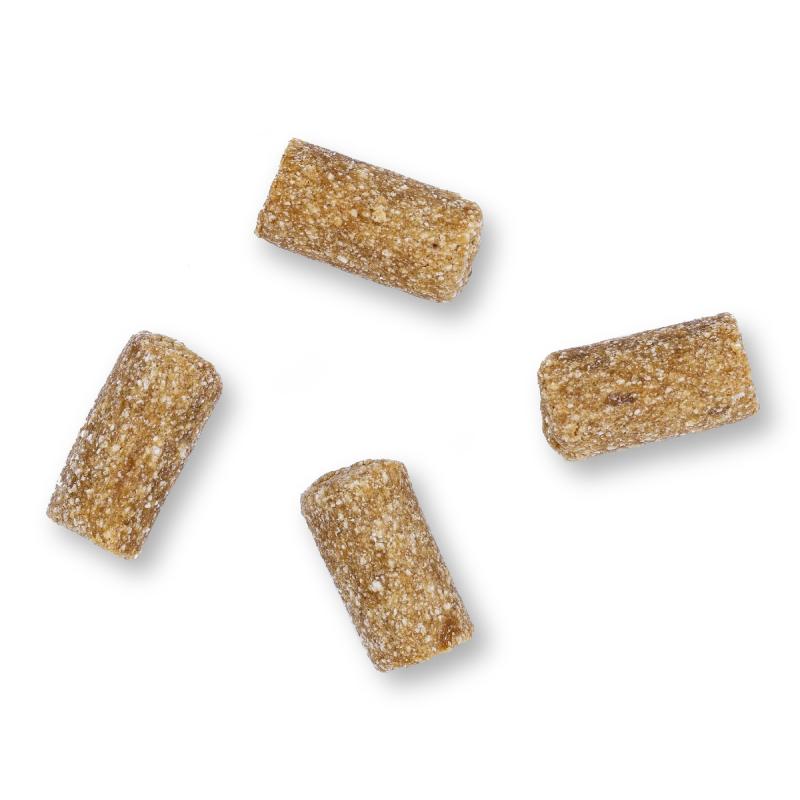 Marly & Dan Senior Σολομός 100gr