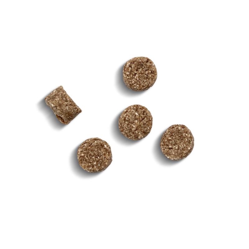 Marly & Dan Training Σολομός 100gr