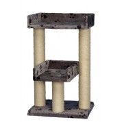 Nobby Γατόδενδρο CHITA