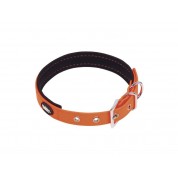 Nobby Collar "Cover" Orange Small