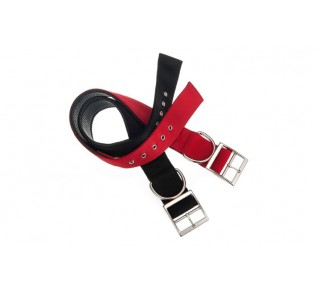 Petinterest Neoprene standard large collars