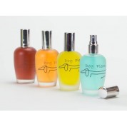 PQP Άρωμα desir 100 ml 