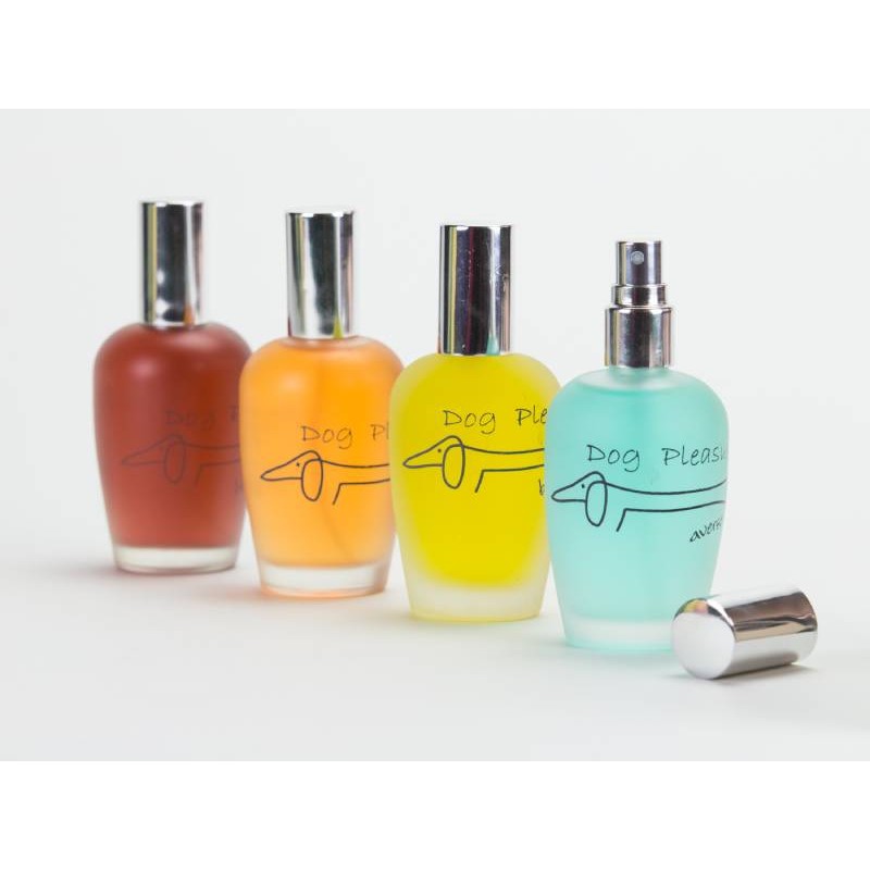 PQP Άρωμα desir 100 ml 