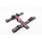 Tailpetz H-Harness Graffity Σαμαράκι Large