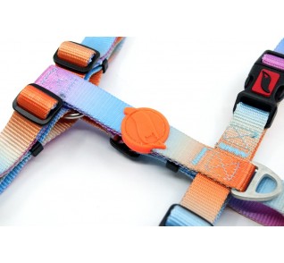 Tailpetz H-Harness Pass Σαμαράκι Large