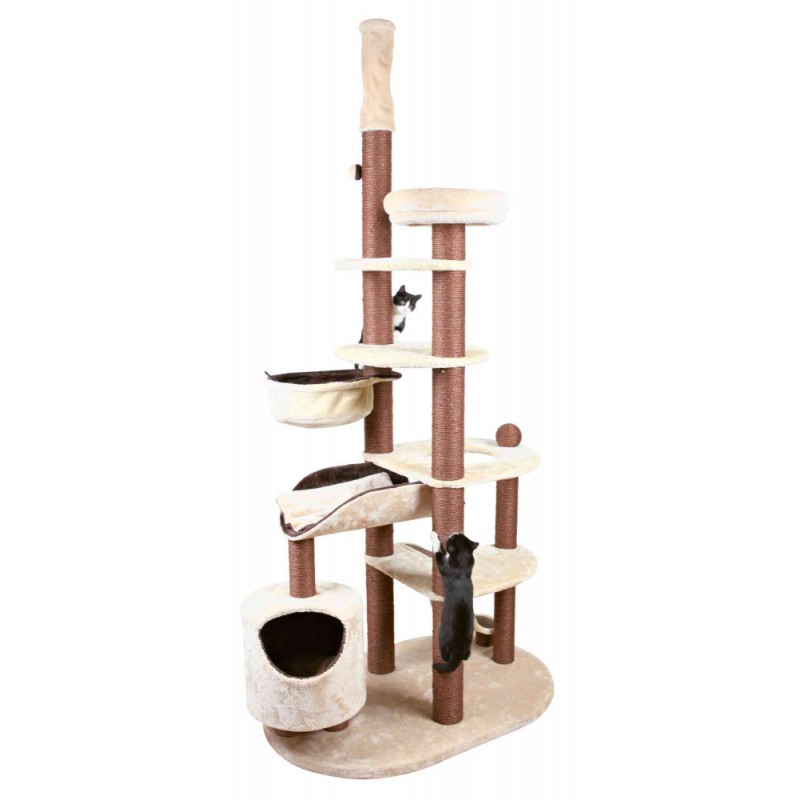  Nataniel Scratching Post, floor to ceiling 
