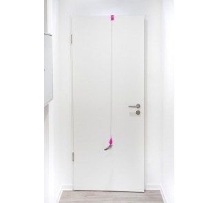 Trixie Snack Toy for attaching to a Door