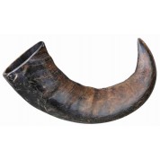 Trixie Buffalo Chewing Horn